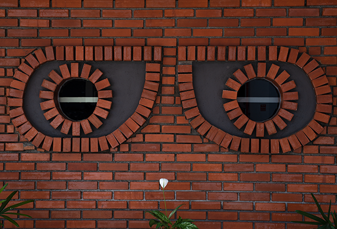 dristi index image web